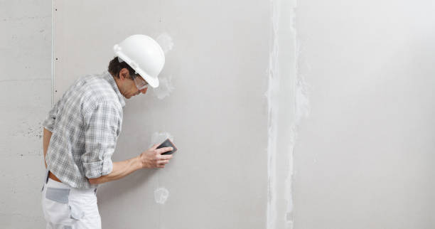 Best Wallpaper Removal and Painting  in Melbourne, FL